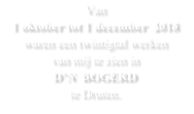 Van  1 oktober tot 1 december  2018  waren een twintigtal werken  van mij te zien in   D’N  BOGERD   te Druten.